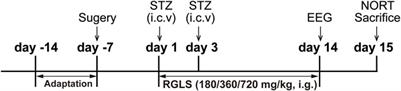 Ganoderma lucidum spore extract improves sleep disturbances in a rat model of sporadic Alzheimer’s disease